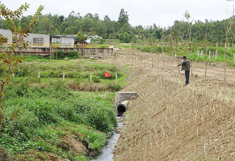 Trước đó, nước xả thải của Nhà máy Đường An Khê chảy thẳng vào ruộng của dân. Ảnh: Hà Phương Nước xả thải của Nhà máy Đường An Khê chảy thẳng vào ruộng của dân. Ảnh: Hà Phương