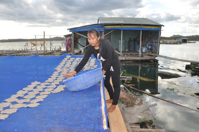 Người dân làng chài làm bánh tráng cá cơm trên lòng hồ Sê San