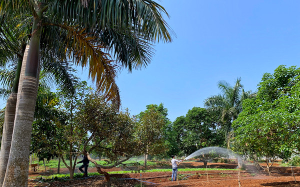Hướng dẫn viên du lịch tự do Nguyễn Văn Phi có nhiều thời gian để tự tay chăm chút mô hình famrstay. Ảnh: M.C