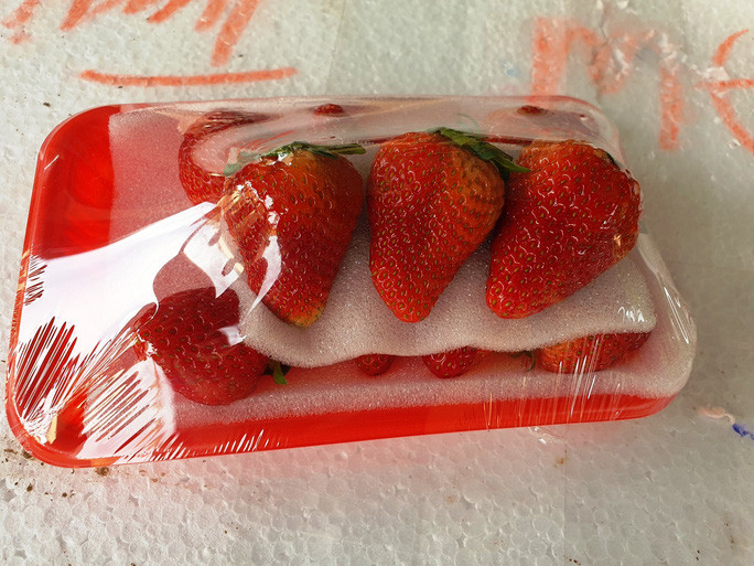 Dâu tây Trung Quốc sau hơn 20 ngày nhập vào Đà Lạt vẫn tươi rói như mới hái tại vườn. Dâu tây Trung Quốc sau hơn 20 ngày nhập vào Đà Lạt vẫn tươi rói như mới hái tại vườn.