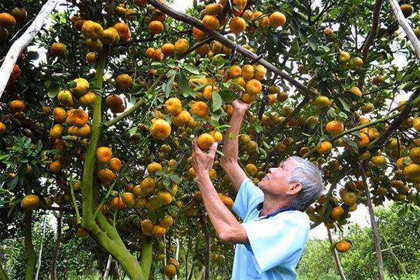 Ảnh minh họa (nguồn: INTERNET).
