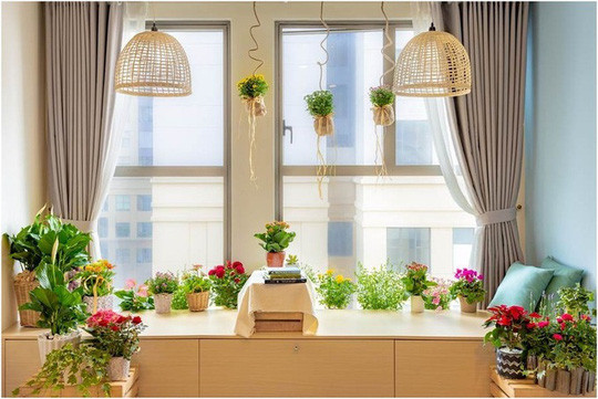 Ngày nay, trong thiết kế nội thất, theo yêu cầu của gia đình, kiến trúc sư ưu tiên nhiều góc riêng dành cho cây xanh. Nếu yêu thích hoa tươi, gia chủ có thể chọn các dòng hoa chậu phù hợp trồng trong nhà. Việc phối hợp nội thất tông mộc với những chậu hoa có màu sắc tươi sáng sẽ giúp không gian sống sinh động mà không loè loẹt.