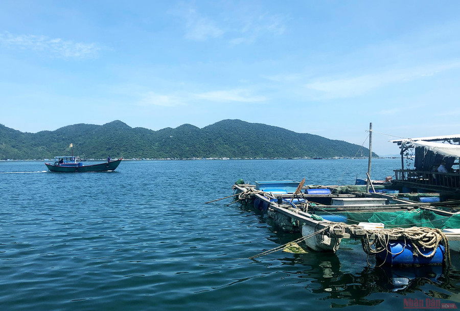 Vũng Rô có diện tích khoảng 16,4 km2 mặt nước, được các dãy núi cao Đèo Cả, Đá Bia, Hòn Bà che chắn cả 3 hướng: Bắc, Đông, Tây. Vũng Rô có diện tích khoảng 16,4 km2 mặt nước, được các dãy núi cao Đèo Cả, Đá Bia, Hòn Bà che chắn cả 3 hướng: Bắc, Đông, Tây.