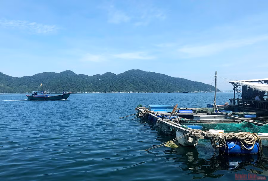 Vũng Rô có diện tích khoảng 16,4 km2 mặt nước, được các dãy núi cao Đèo Cả, Đá Bia, Hòn Bà che chắn cả 3 hướng: Bắc, Đông, Tây. 