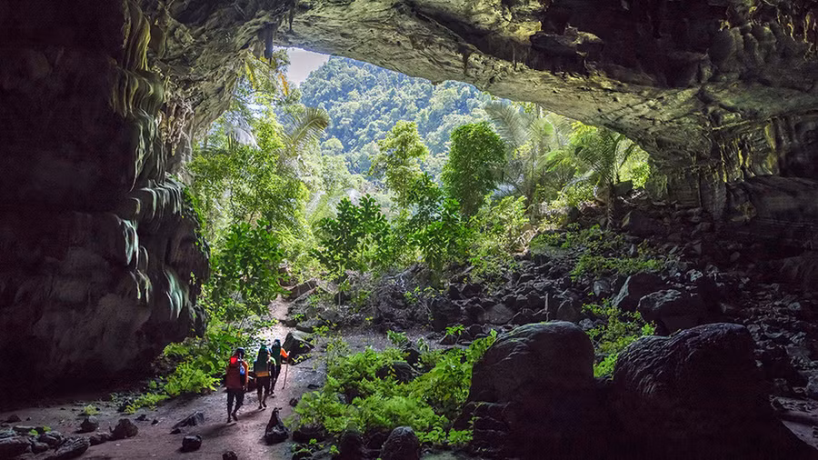 Cuối hang Tiên 1 là một vòm hang bước tới khu rừng nguyên sinh với các cây cổ thụ. Ảnh: N.V.H.