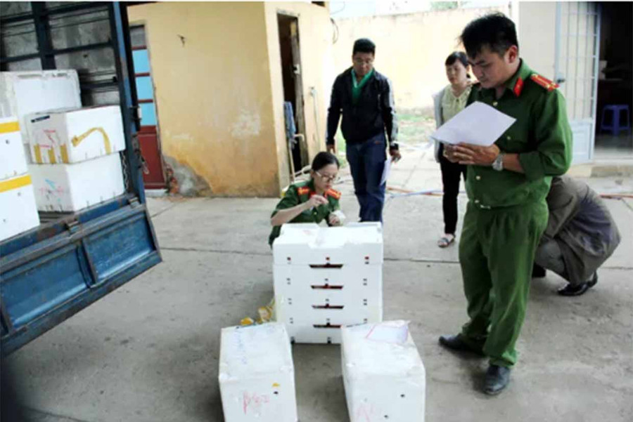 Lực lượng chức năng kiểm đếm số lượng thùng xốp chứa dâu tây Trung Quốc.