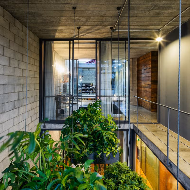 Màu xanh của cây kéo dài từ tầng trệt lên đến tầng mái.