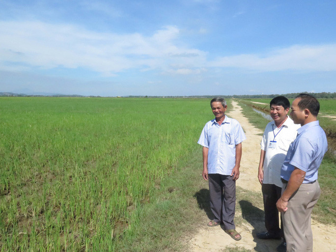  Ông Nguyễn Muộn (bìa trái) trên cách đồng thực hiện thành công việc dồn điền đổi thửa