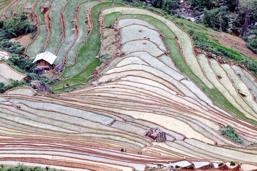 Mỗi khi có nước về, đồng bào dân tộc Mông, Thái tại xã Chiềng Muôn, huyện Mường La, tỉnh Sơn La tranh thủ làm đất để gieo cấy lúa. (Ảnh: Quang Quyết/TTXVN)
