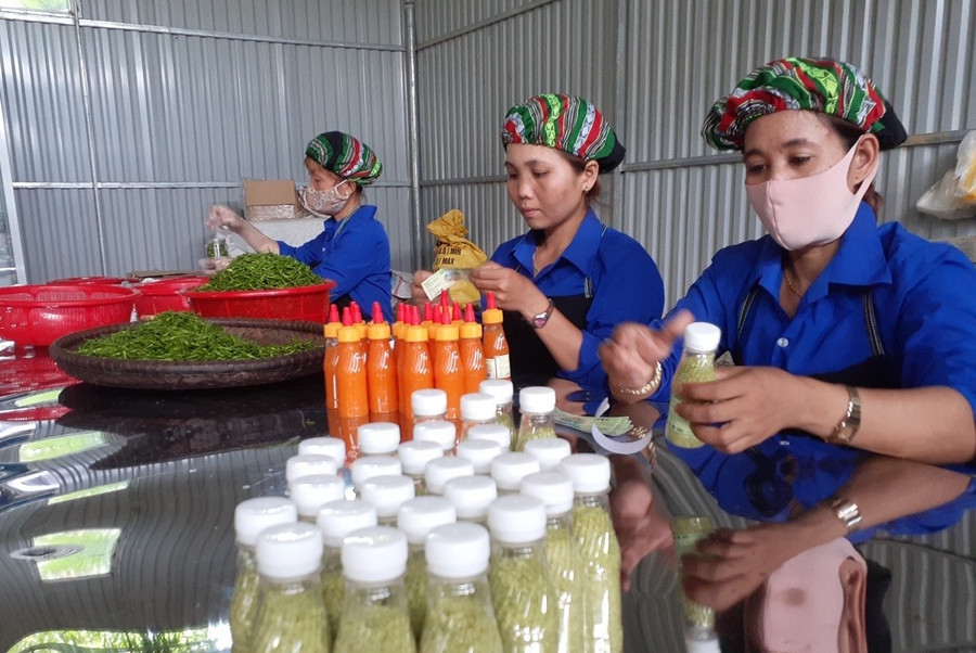 Sơ chế, tạo sản phẩm ớt A riêu muối đưa ra thị trường. Ảnh: H.L Sơ chế, tạo sản phẩm ớt A riêu muối đưa ra thị trường. Ảnh: H.L