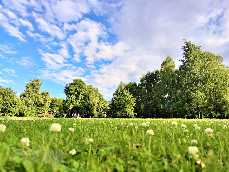 Thảm cỏ xanh trong công viên Kolomen. Ảnh: Duy Trinh/TTXVN