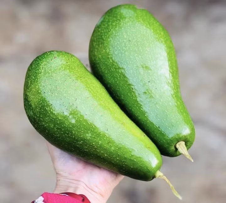 Sử dụng nhiều bơ có thể gây tổn thương gan. Ảnh: N.L