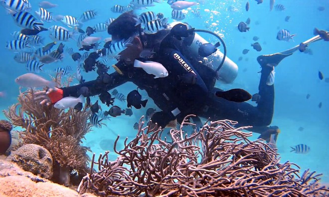 Lặn biển với bình dưỡng khí. Ảnh: V.A