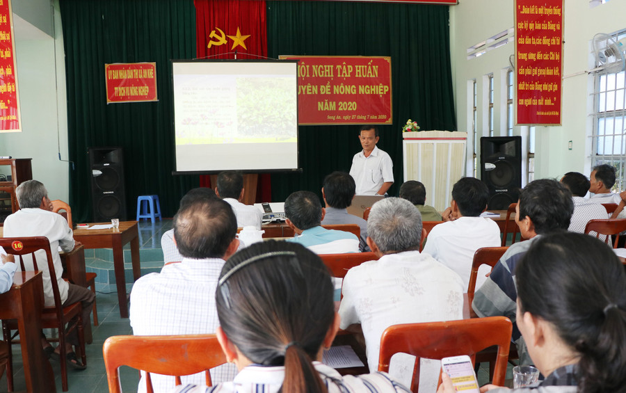 Quang cảnh buổi tập huấn. Ảnh: Ngọc Minh Quang cảnh buổi tập huấn. Ảnh: Ngọc Minh