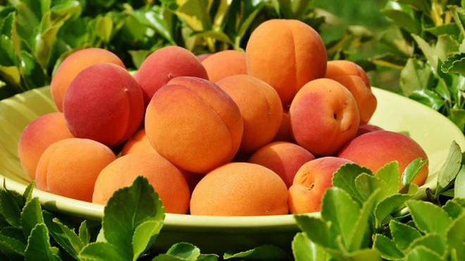 Không chỉ có tác dụng giải khát vào mùa hè, quả đào còn mang lại nhiều lợi ích cho sức khỏe SHUTTERSTOCK Không chỉ có tác dụng giải khát vào mùa hè, quả đào còn mang lại nhiều lợi ích cho sức khỏe SHUTTERSTOCK