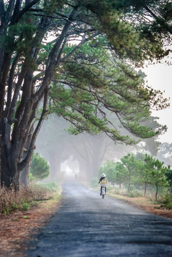 Ảnh minh họa (nguồn: INTERNET)