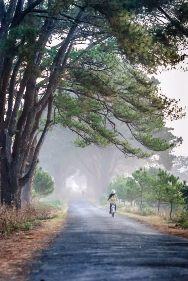 Ảnh minh họa (nguồn: INTERNET)