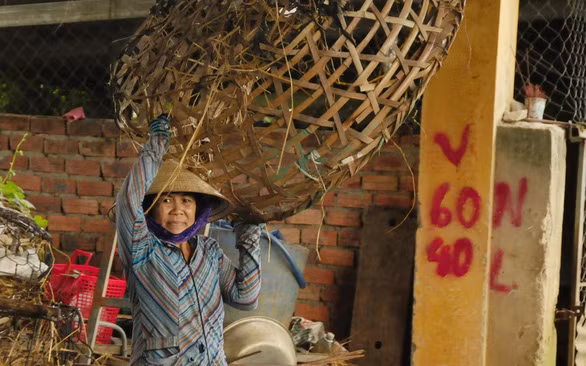 Ngoài tiền công bế heo, những người làm nghề này còn kiếm thêm thu nhập bằng việc cho thuê ghế ngồi, sọt tre. Ảnh: B.D.