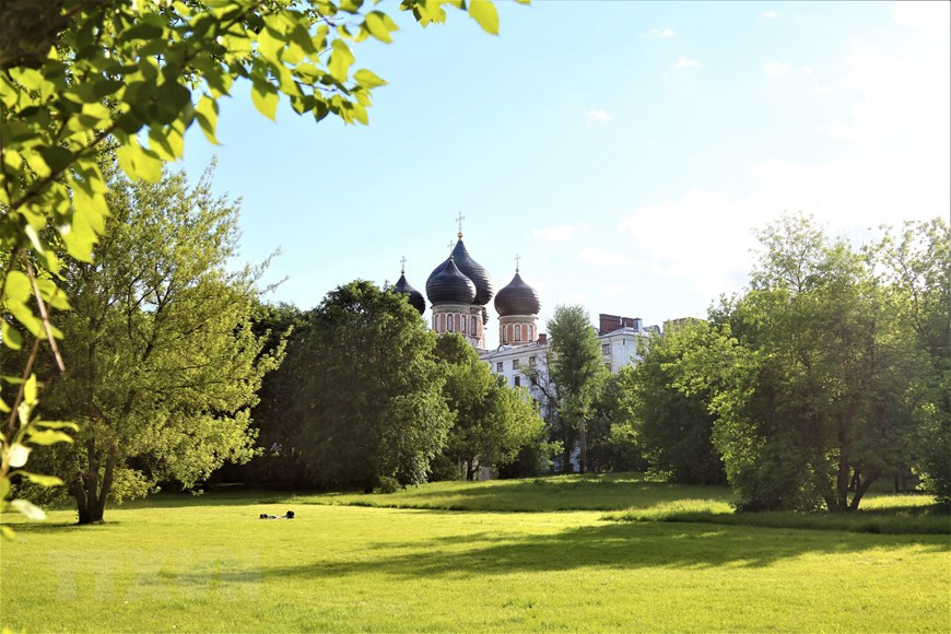 Màu xanh mát mắt trong công viên Bảo tàng-Điền trang Izmailovo. Ảnh: Duy Trinh/TTXVN