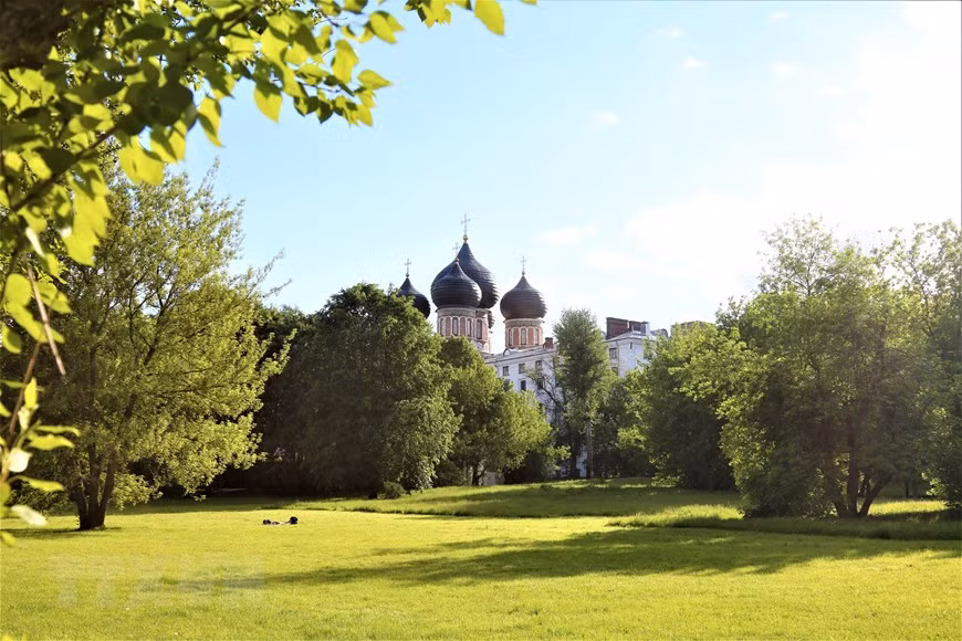 Màu xanh mát mắt trong công viên Bảo tàng-Điền trang Izmailovo. Ảnh: Duy Trinh/TTXVN