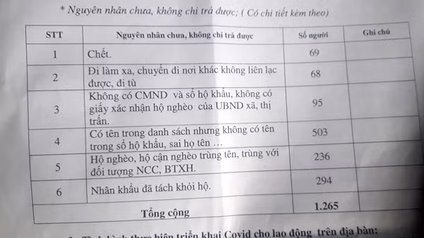Danh sách các đối tượng khi lập danh sách có sai sót. Ảnh: T.T