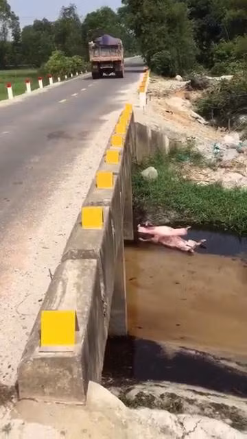 Một mương nước trên Tỉnh lộ 11C đoạn xã Phong Hiền. Ảnh minh họa