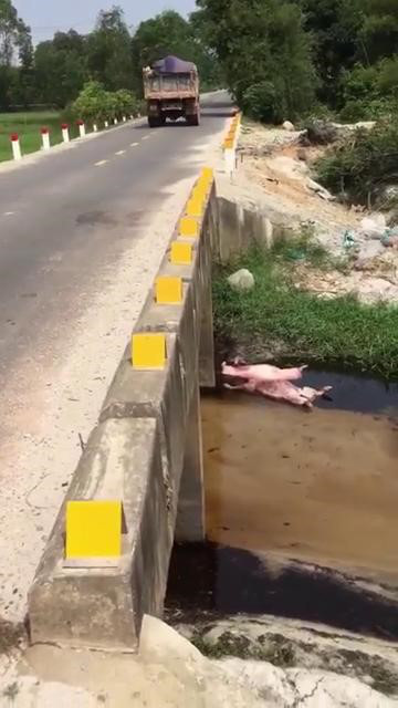 Một mương nước trên Tỉnh lộ 11C đoạn xã Phong Hiền. Ảnh minh họa