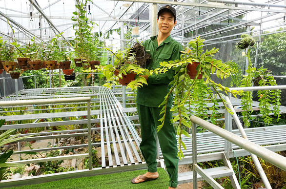 Tài bên vườn lan phi điệp đột biến có giá trị hàng tỉ đồng của mình - Ảnh: LÊ TRUNG Tài bên vườn lan phi điệp đột biến có giá trị hàng tỉ đồng của mình - Ảnh: LÊ TRUNG
