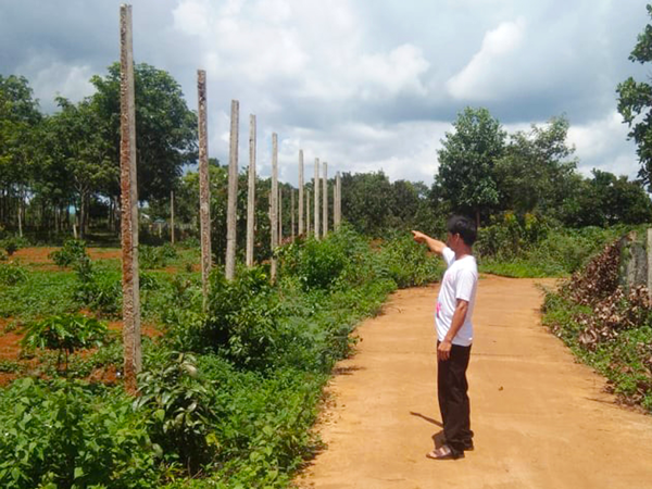 Giá trụ hồ tiêu đúc bằng xi măng bán rẻ mạt nên anh Nguyễn Văn Long (làng Mui, xã Bình Giáo, huyện Chư Prông) dùng làm hàng rào. Ảnh: Hà Phương Giá trụ hồ tiêu được đúc bằng xi măng bán rẻ mạt nên anh Nguyễn Văn Long (làng Mui, xã Bình Giáo, huyện Chư Prông) dùng làm hàng rào. Ảnh: Hà Phương