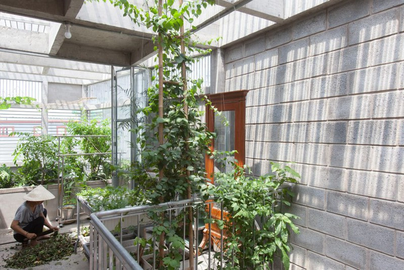 Cây xanh được trổng rất nhiều giúp ngôi nhà luôn thân thiện với môi trường.