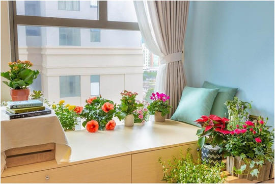 Việc phối hợp nội thất tông mộc với những chậu hoa có màu sắc tươi sáng sẽ giúp không gian sống sinh động mà không loè loẹt.