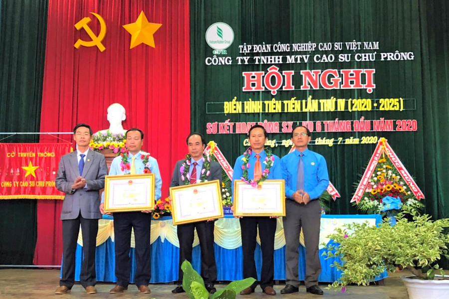 Cá nhân, tập thể nhận bằng khen của UBND tỉnh. Ảnh: Đinh Yến