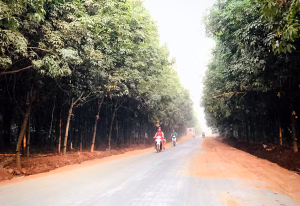 Tuyến đường từ trung tâm huyện Chư Prông đi xã Ia Púch vừa được thảm nhựa và đang thi công hệ thống mương thoát nước. Ảnh: L.H