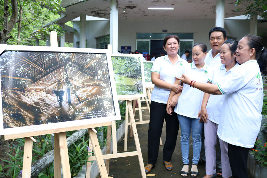 36 bức ảnh nổi bật trong các cuộc ảnh về chủ đề Rừng ngập mặn Cần Giờ được trưng bày - Ảnh: ÁNH TRINH