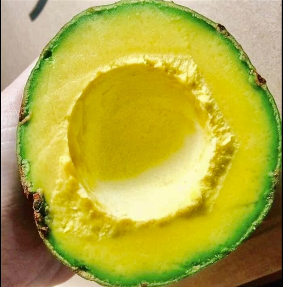 Ăn nhiều bơ sẽ làm giảm hiệu quả một số loại thuốc. Ảnh: Ngọc Lê Ăn nhiều bơ sẽ làm giảm hiệu quả một số loại thuốc. Ảnh: Ngọc Lê