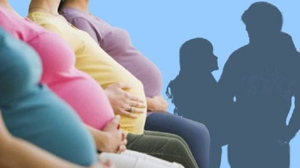 Ảnh có tính chất minh họa (ảnh tư liệu)