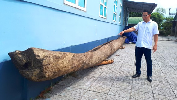 Ông Trần Phi Công, Phó Giám đốc Bảo tàng Hà Tĩnh bên chiếc thuyền độc mộc vừa được di chuyển về bảo tàng để phục vụ công tác nghiên cứu  Ông Trần Phi Công, Phó Giám đốc Bảo tàng Hà Tĩnh bên chiếc thuyền độc mộc vừa được di chuyển về bảo tàng để phục vụ công tác nghiên cứu