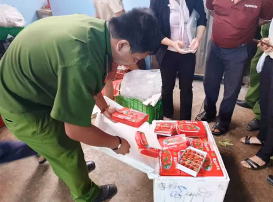  Toàn bộ số lượng dâu tây có chữ Trung Quốc đang trên đường về Đà Lạt bị Công an huyện Đức Trọng thu giữ.