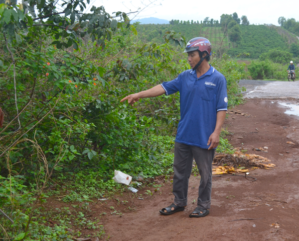 Ông Nguyễn Văn Tân chỉ nơi các thanh niên bịt mặt ẩn nấp thuộc tổ 2 (thị trấn Chư Prông). Ảnh: Hoàng Cư 