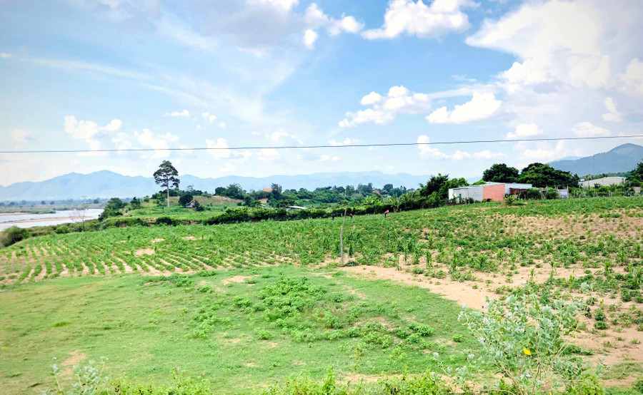 Những bờ bãi cây cối xanh ngắt bên bờ sông Ba (thuộc xã Chư Rcăm-huyện Krông Pa). Ảnh: Lê Hòa