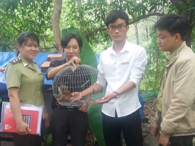Lực lượng kiểm lâm tiếp nhận cá thể culi do chị Thủy Tiên bàn giao vào năm 2019 - ẢNH: KLBĐ Lực lượng kiểm lâm tiếp nhận cá thể culi do chị Thủy Tiên bàn giao vào năm 2019 - ẢNH: KLBĐ