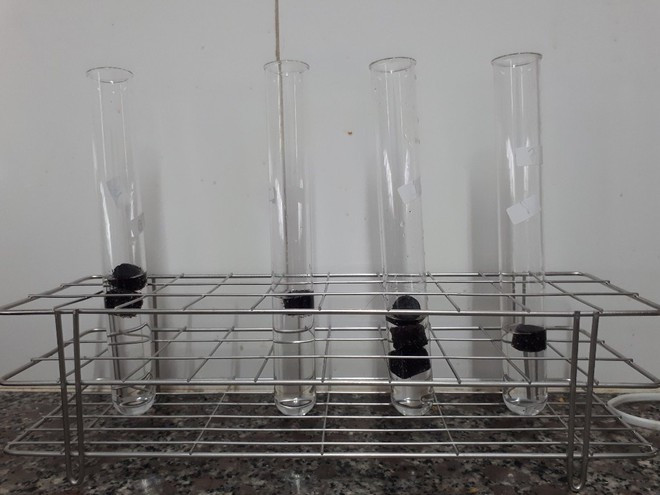 Hiện tại viên nén của nhóm đang được thử nghiệm trong phòng thí nghiệm tại trường Ảnh: NVCC