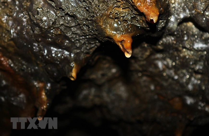 Cấu trúc hang động là kết quả hoạt động của các hệ đứt gãy kiến tạo, hình thành kênh dẫn cho dung nham từ dưới sâu đưa lên và các thể magma xâm nhập rồi phun trào basalt. Ảnh: Dương Giang/TTXVN Cấu trúc hang động là kết quả hoạt động của các hệ đứt gãy kiến tạo, hình thành kênh dẫn cho dung nham từ dưới sâu đưa lên và các thể magma xâm nhập rồi phun trào basalt. (Ảnh: Dương Giang/TTXVN)