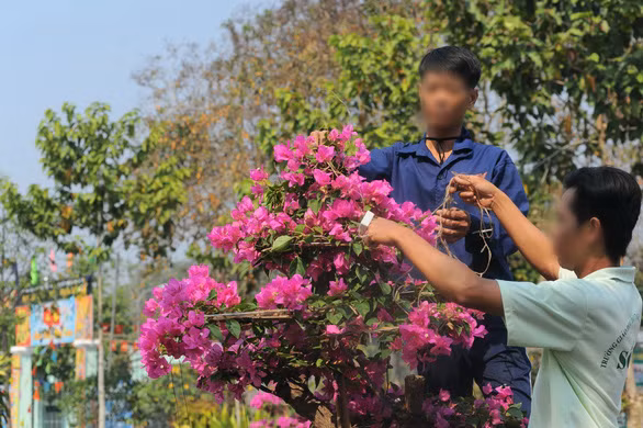 Lao động là cách để quên đi cảm giác thèm ma túy. Ảnh: TỰ TRUNG