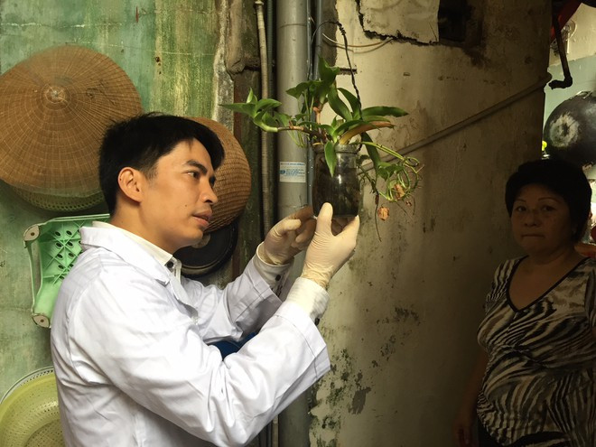 Chuyên gia y tế dự phòng của Viện Vệ sinh dịch tễ T.Ư giám sát ổ bọ gậy trong vật dụng chứa nước tại các hộ gia đình ở Q.Hoàn Kiếm, Hà Nội ẢNH: L.CHÂU