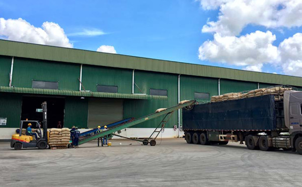 Công ty TNHH Thương phẩm Atlantic Việt Nam-Chi nhánh Gia Lai luôn quan tâm cải thiện điều kiện làm việc cho người lao động. Ảnh: Đ.Y