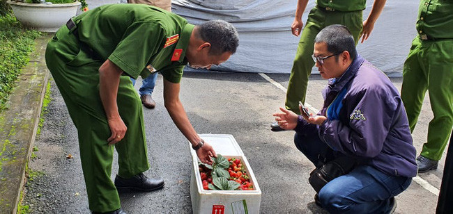 Lực lượng chức năng tiến hành kiểm tra những thùng dâu bắt được trong sáng ngày 24/7.