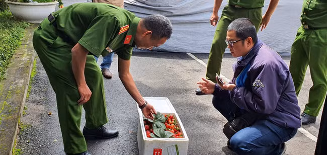 Lực lượng chức năng tiến hành kiểm tra những thùng dâu bắt được trong sáng ngày 24/7.