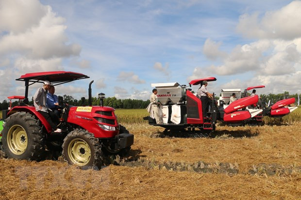 Ảnh minh họa. (Nguồn: AFP/TTXVN) Ảnh minh họa. (Nguồn: AFP/TTXVN)