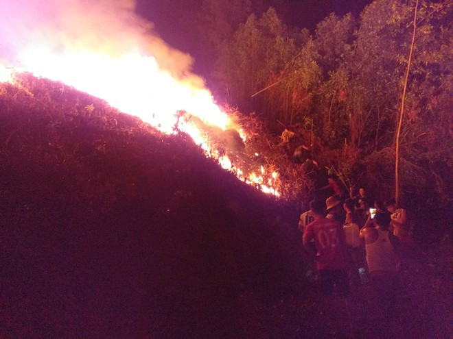 Dập lửa cứu rừng trong đêm - Ảnh: Đình Toàn